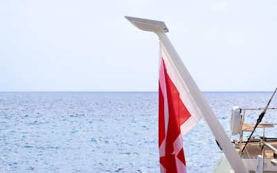 Refined Starlink Flagpole Returns with Upgraded Design for 2024